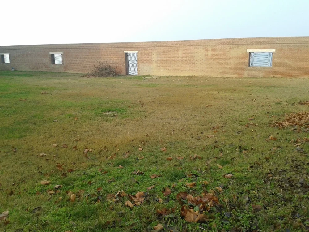 2529 Studio di Architettura